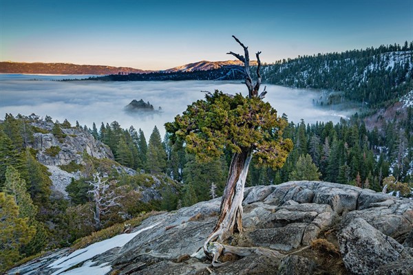 Nevada County Camera Club & Courtyard Suites Host a Photo Exhibit “Vibes of Winter” During December