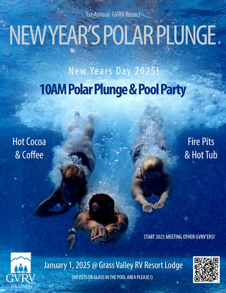 1st Annual New Year's Day Polar Plunge & Pool Party