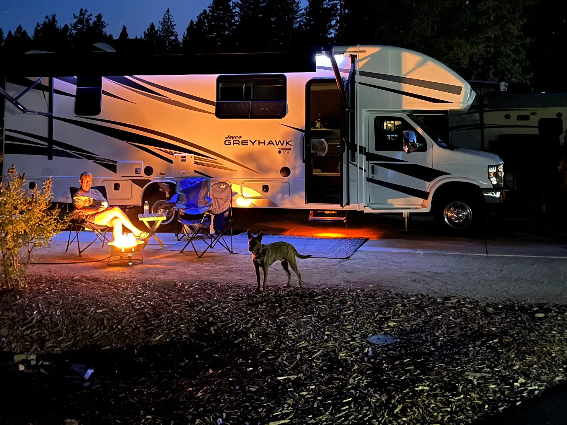 Dog relaxing by the campfire at an RV site at Grass Valley RV Resort