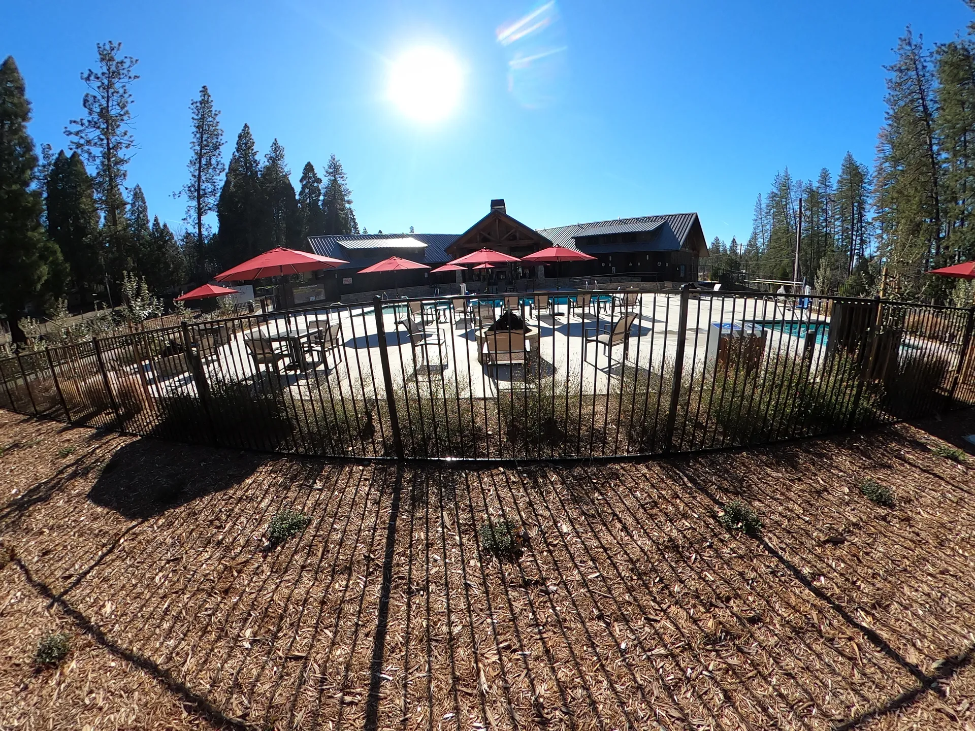 Pool area and lodge framed by pines at Grass Valley RV Resort