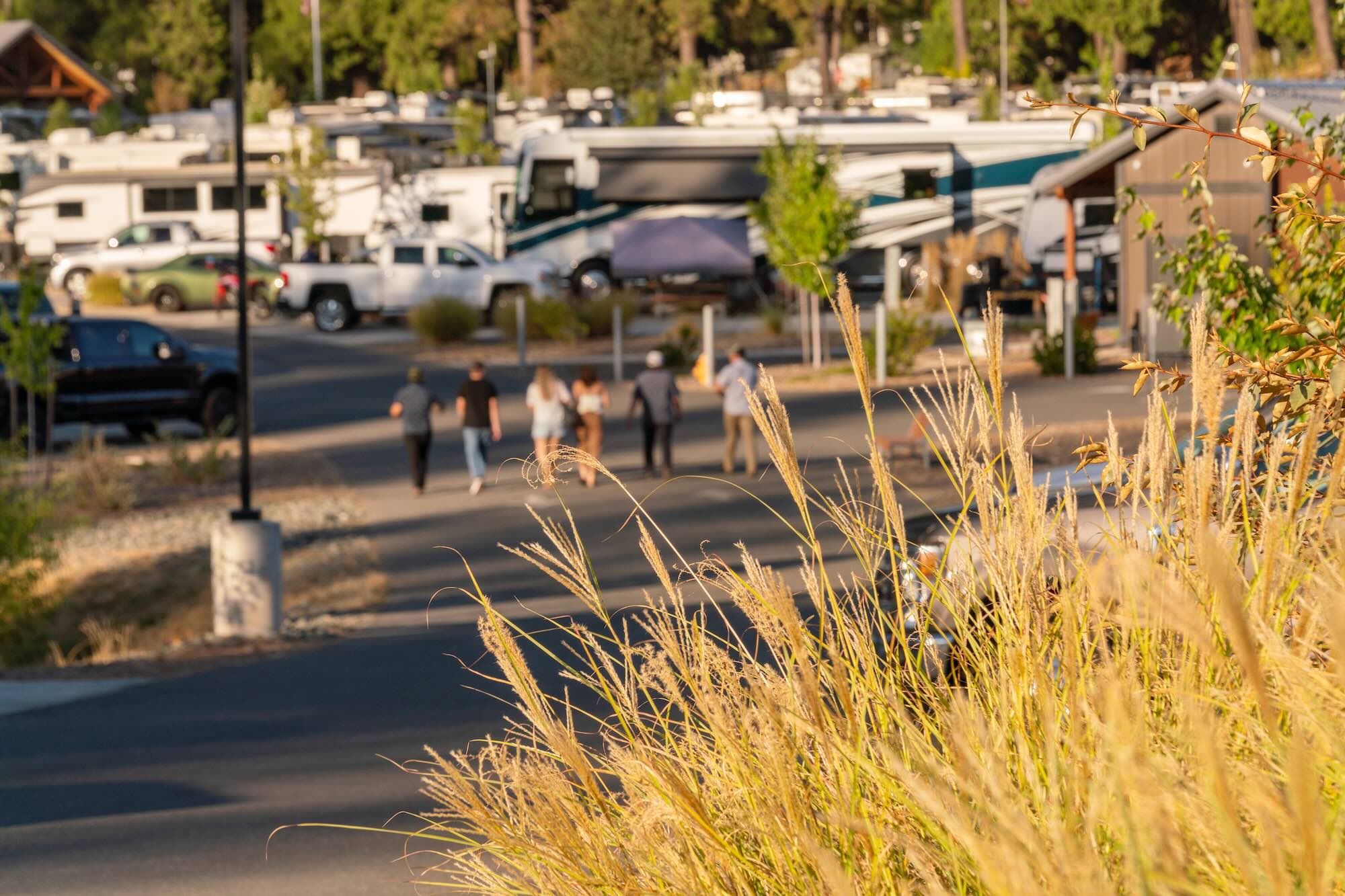 Guests walking among RV sites at Grass Valley RV Resort